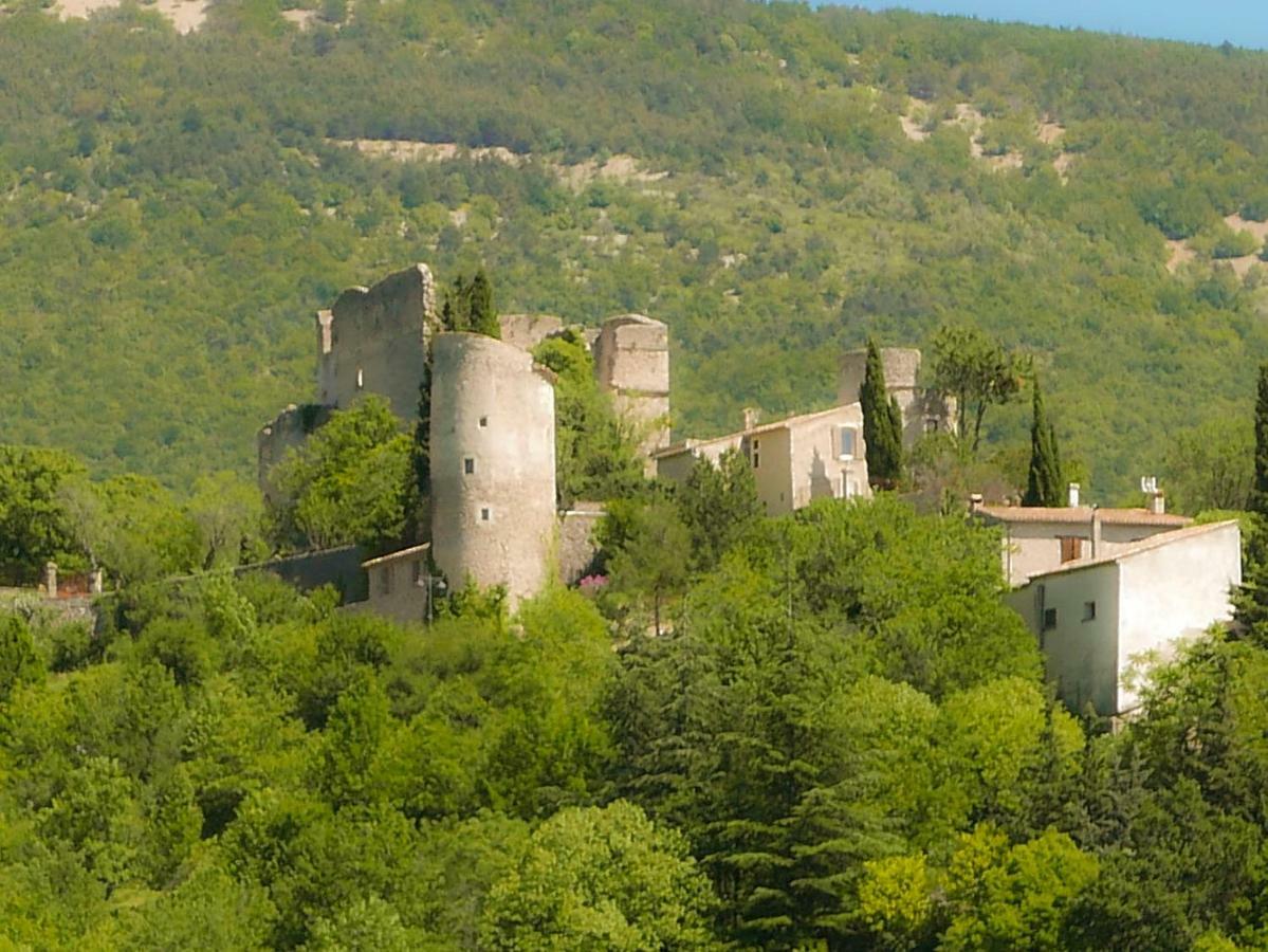 Chateau Des Gipieres Bij De Mont Ventoux Montbrun-les-Bains Exterior foto